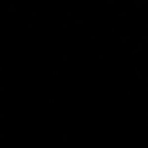 Meet your Posher, Amelia